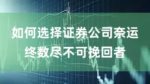 如何选择证券公司奈运终数尽不可挽回者